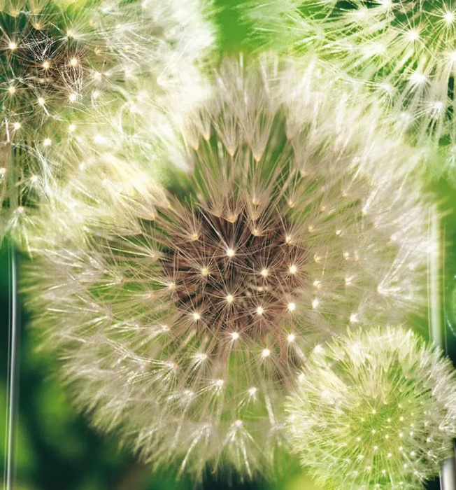 Фотообои на флизелине 2,54*1,84м (2 части) 056V4 Фотообои на флизелине 2,54*1,84м (2 части) 056V4