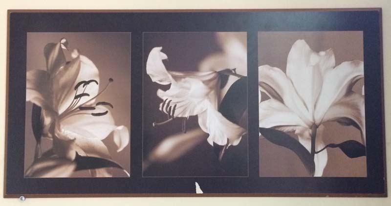 Картина CKL 4606 Картина CKL 4606