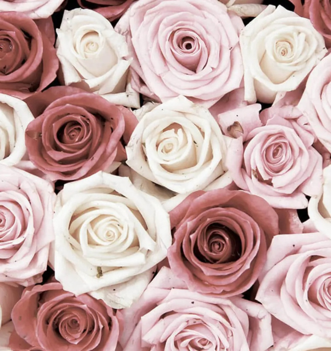 Фотообои на бумаге 3,68*2,54м (4 части) 1629P8 Фотообои на бумаге 3,68*2,54м (4 части) 1629P8