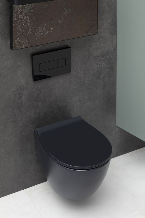 Унитаз подвесной Allen Brau Fantasy 4.11004.31 без сиденья