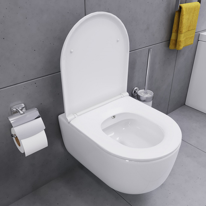 Унитаз подвесной Damixa Sirius DX86C1800SC с сиденьем Микролифт