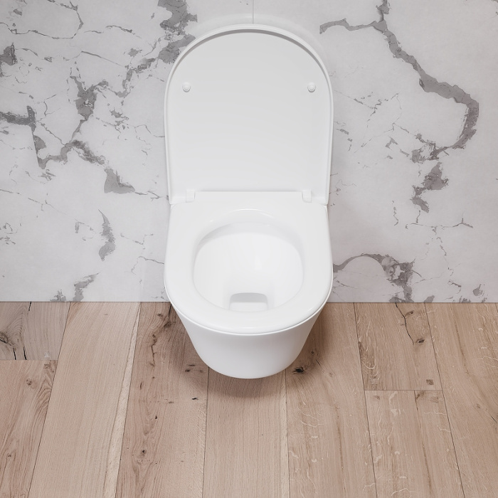 Унитаз подвесной Damixa "Skyline" с сиденьем Микролифт 365Х485Х400