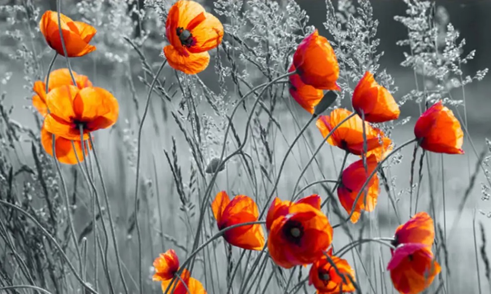 Фотообои на флизелине 3,68*2,54м (4 части) 11746V8 Фотообои на флизелине 3,68*2,54м (4 части) 11746V8