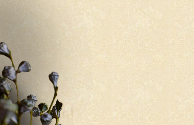 Обои "Roberto Cavalli" №1 винил на флизелине D12005