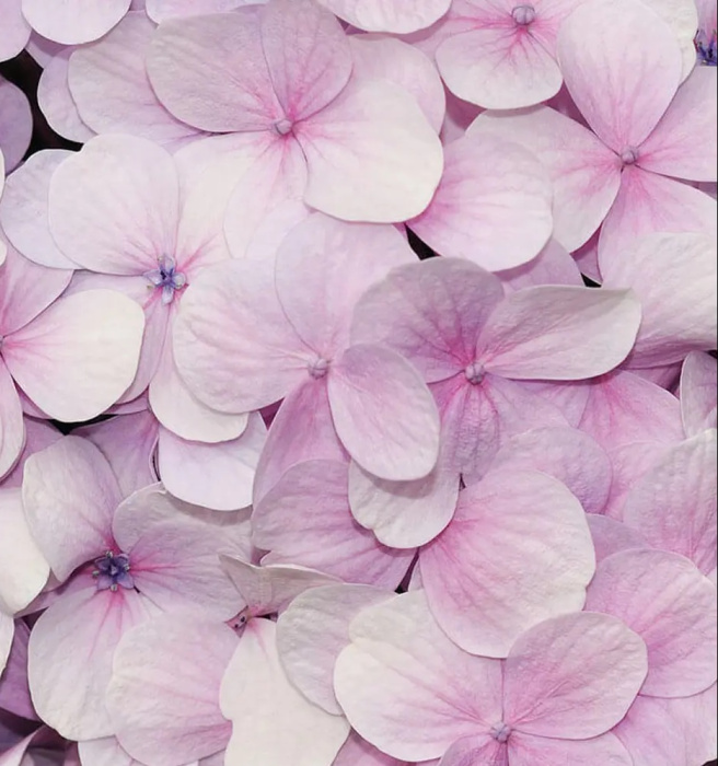 Фотообои на бумаге 3,68*2,54м (4 части) 3103P8