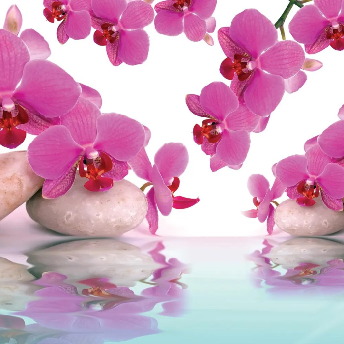 Фотообои на бумаге 3,68*2,54м (4 части) 151P8