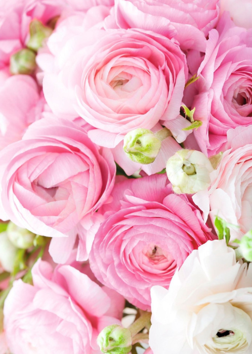 Фотообои Decocode (2,0*2,8м) 21-0424-hh 