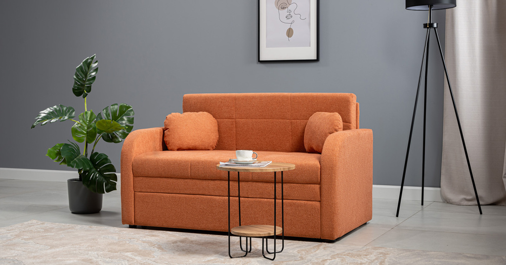 Диван-кровать "Тео" 120 ТД 907