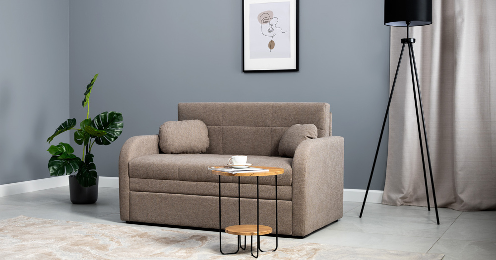 Диван-кровать "Тео" 120 ТД 906