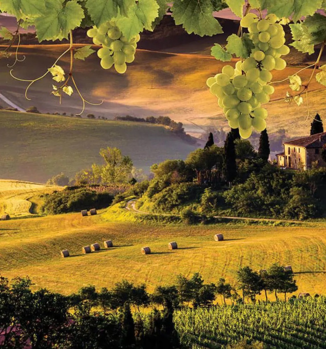 Фотообои на бумаге 3,68*2,54м (4 части) 2331P8