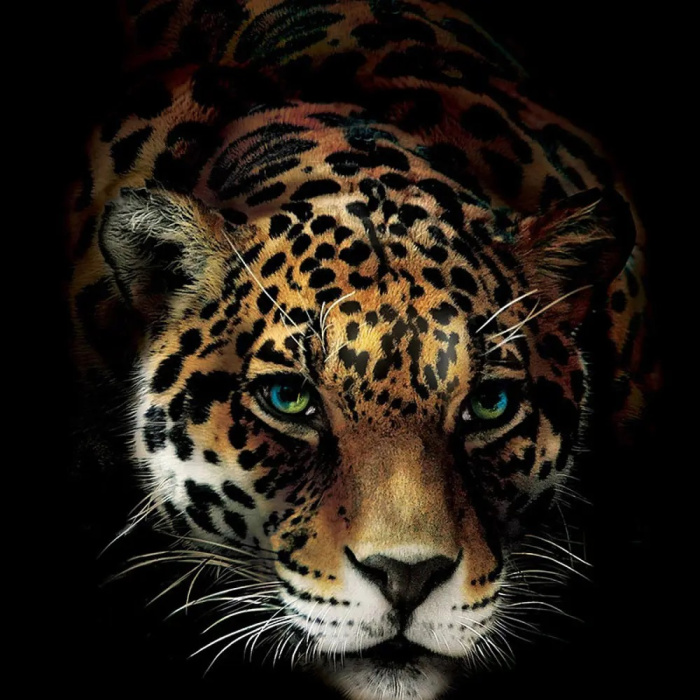 Фотообои на флизелине 3,68*2,54м (4 части) 10148V8