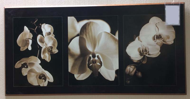 Картина CKL 4607 Картина CKL 4607