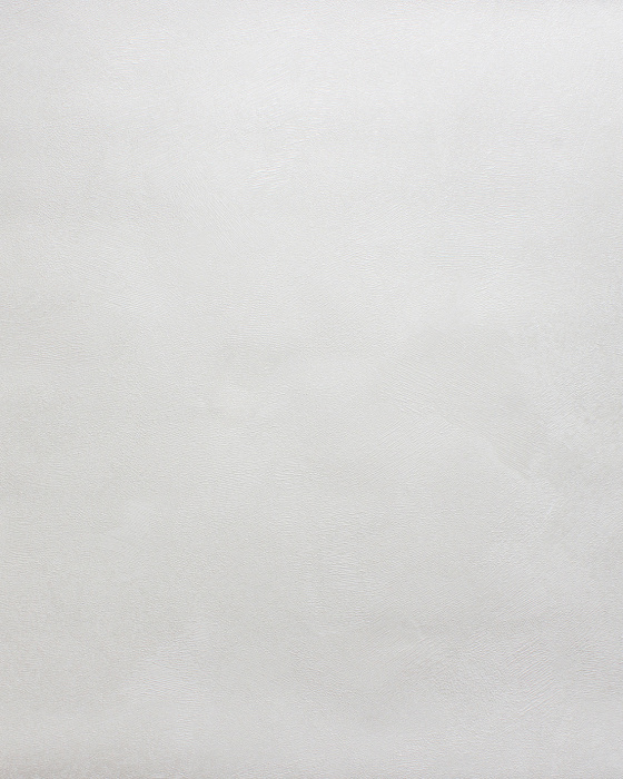 Обои Accento Fancy 1,06х10м 287762