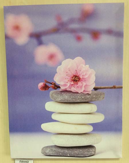 Панно 40*30 740-149