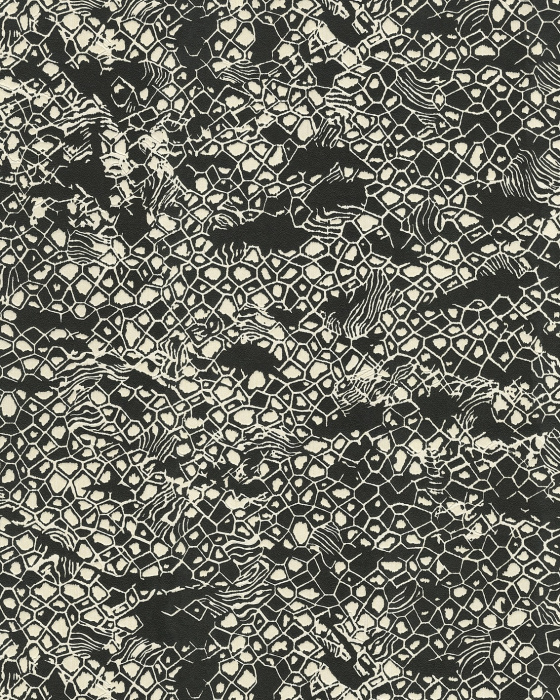 Обои "Roberto Cavalli" (1,06*10,05м) №8 19036