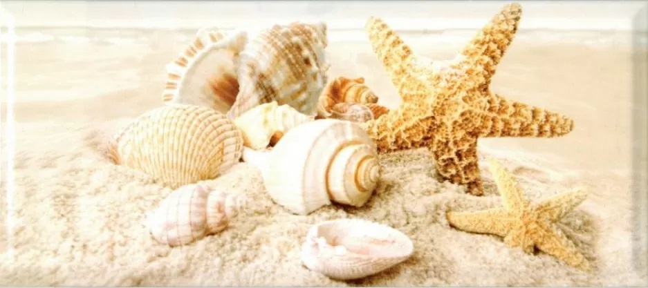 Плитка "Декор Seashells" 200Х450 арт. 336763 