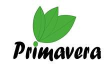 Primavera АКЦИЯ до 31.08.2025г.