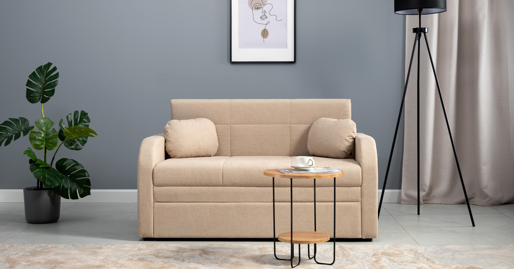 Диван-кровать "Тео" 120 ТД 905