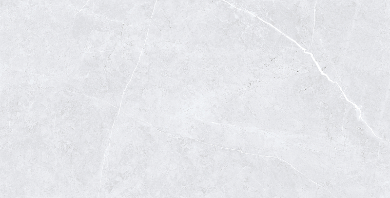 Керамогранит Swindon Grey Polished 60Х120