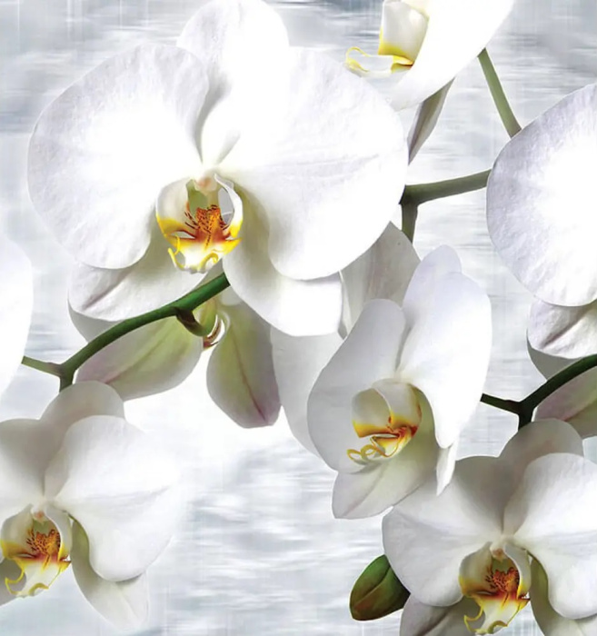 Фотообои на бумаге 3,68*2,54м (4 части) 1667P8