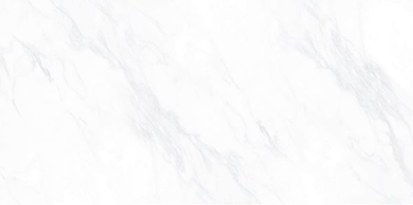 Керамогранит Пайер Elegant G281 Матовый 60Х120