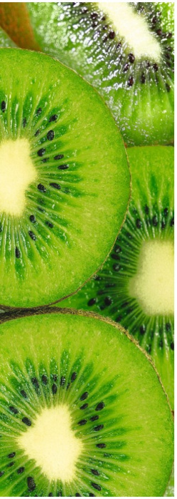 Фотообои Decocode (1,0*2,8м) 11-0054-uw