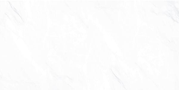 Керамогранит Пайер Elegant G281 Матовый 60Х120