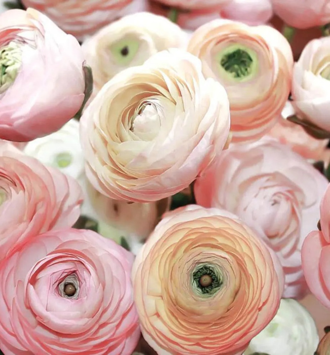 Фотообои на бумаге 3,68*2,54м (4 части) 2297P8