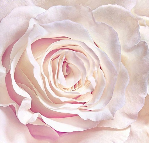 Фотообои Decocode (2,6*2,5м) 015-26-DE